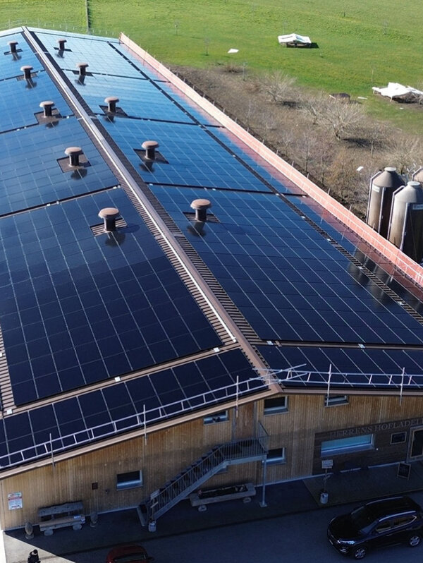 Eco invention Trap FIX Referenz Neuenegg 01